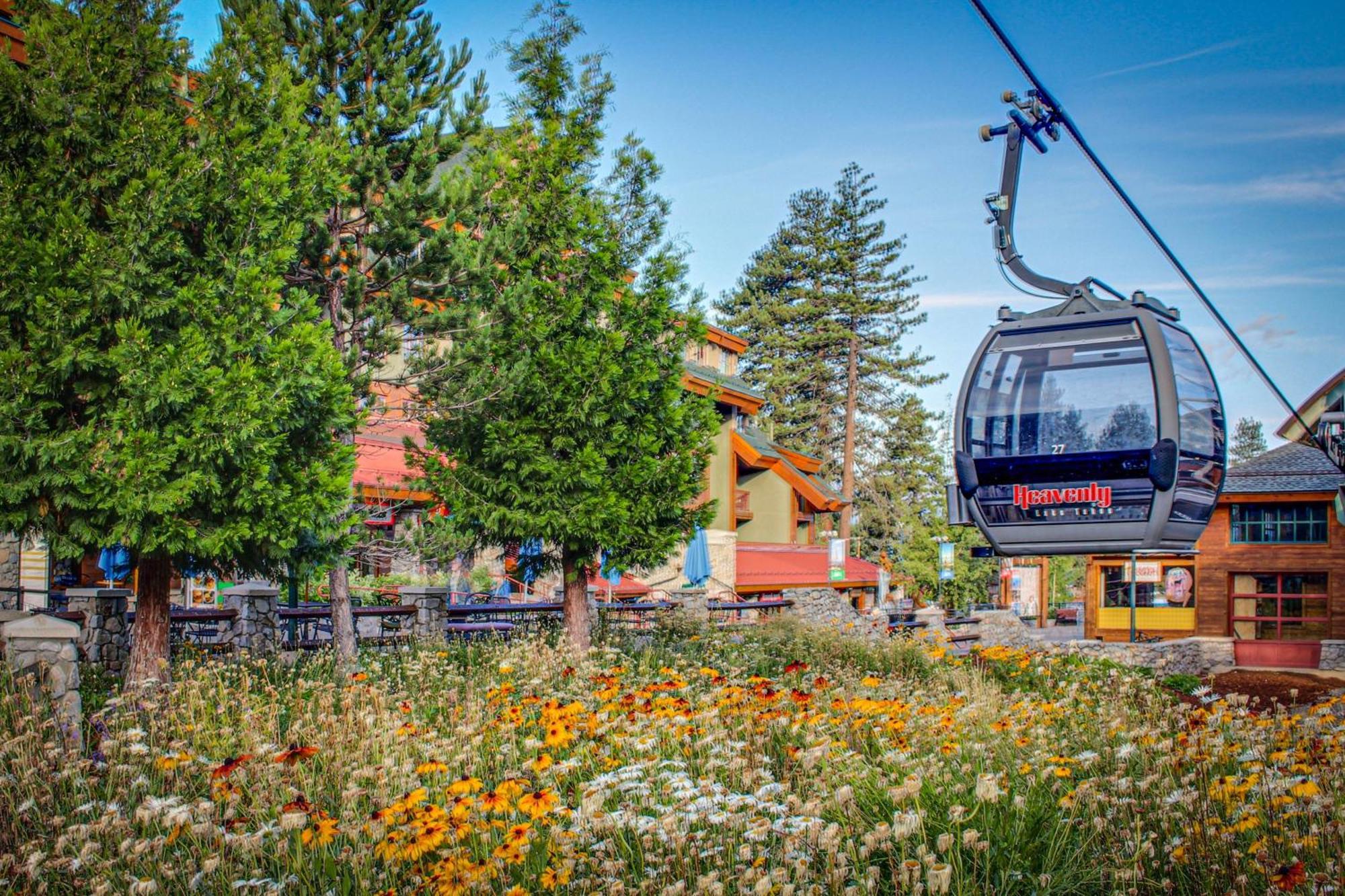 Lakeland Village South Lake Tahoe Rum bild